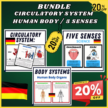Preview of German Big Bundle, Circulatory System -Human Body Organs Facts, 5 senses Facts