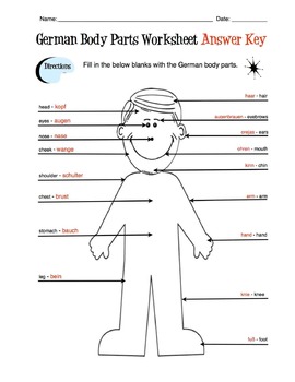 german body parts label worksheet answer key by sunny side up resources