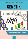 German Flashcards, Flash cards, Genetics, Genetik, Aufbau der DNA