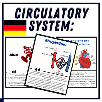 Preview of German Parts and Functions of the Circulatory System - Reading, Printable
