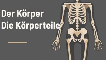 Preview of German Parts of the Body Vocabulary Review die Körperteile das Gesicht