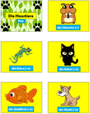 German (Deutsch) - Pets - PowerPoint, Worksheet + Flashcards