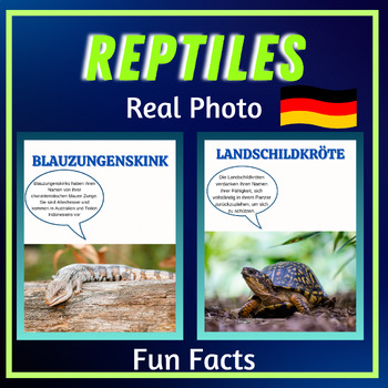 Preview of German, Reptiles Fun Facts, Flashcards,Real Photo Printable Posters animals
