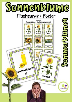 Preview of German: Sunflower Sonnenblume (Helianthus annuus) | Flashcards + Poster