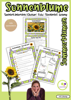 Preview of German: Sunflower Sonnenblume | Sachtext - Interview | Glossar | Steckbrief
