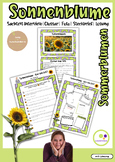 German: Sunflower Sonnenblume | Sachtext - Interview | Glo