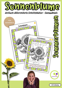 Preview of German: Sunflower Sonnenblume | mehrfach differenzierte Arbeitsblätter