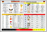 German - The Basics - Knowledge Organizer/ Revision Mat!