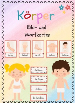 Preview of German The Body / Körper Vocabulary Cards - Flashcards