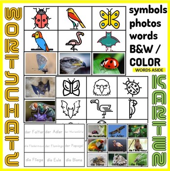 Preview of German Vocabulary Photo Picture Flash Cards Preschool Autism SpEd Air Animals