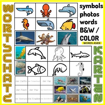 Preview of German Vocabulary Photo Picture Flash Cards Preschool Autism SpEd Sea Animals