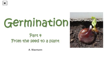 Preview of Germination