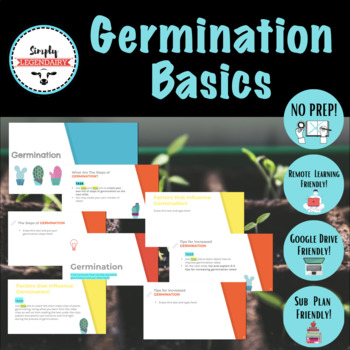 Preview of Germination- Horticulture, Agriculture- No-Prep & Remote Learning Friendly!