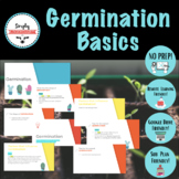 Germination- Horticulture, Agriculture- No-Prep & Remote L