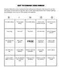 Get To Know You Bingo Sheets (Bilingual, ESL)