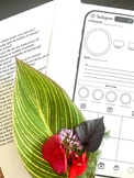 Get to Know You, Instagram Phone worksheet, All About Me