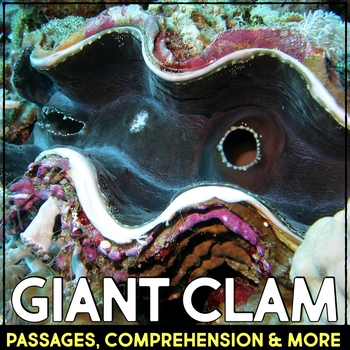 Preview of Giant Clam Animal Research Nonfiction Reading Passage & Comprehension Activities