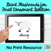 Flashcards for Final Consonant Deletion Phonological Proce