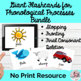 Giant Flashcards for Phonological Processes No Print Digit
