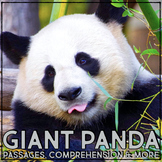 Giant Panda Animal Research Nonfiction Reading Passage Com