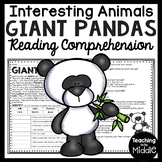 Giant Pandas Informational Text Reading Comprehension Work