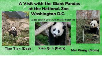 Preview of Giant Pandas at the National Zoo