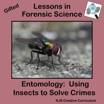 Preview of Gifted Lessons In Forensic Science Entomology Using Insects to Solve Crimes