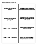 Gifted and Talented: Medical Physiology - Diabetic Flashcards