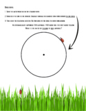 Gifted and Talented - The Mystery Circle (Math)