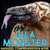 Gila Monster Reading Passage Comprehension Activities Anim