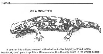 Preview of Animal Gila Monster Reading Wksht -Science, Reptiles 4 Multiple Choice Questions