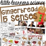 Gingerbread 5 Senses - Science for Little Learners (presch