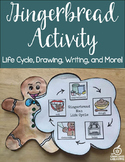Gingerbread Activity Craft: Life Cycle, Writing Prompts, A