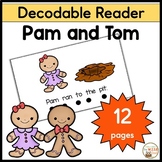 Gingerbread Decodable Reader Independent Reading Science o