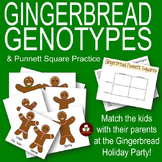 Gingerbread Genotypes and Punnett Square Practice: A Holid