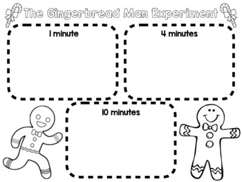 Preview of Gingerbread Man Experiment Sheet
