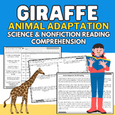 Giraffe: Animal Adaptation Science & Nonfiction Reading Pa