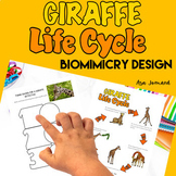 Giraffe Project | Life Cycle | Biomimicry Design Activitie