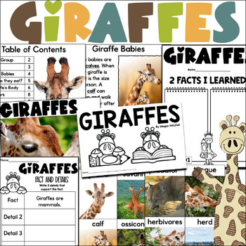 Preview of Giraffe Nonfiction Book Study Informational Text Reading Comprehension