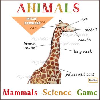 Preview of Giraffe anatomy poster, Body parts, Diagram, Animals, Mammals, Homeschooling