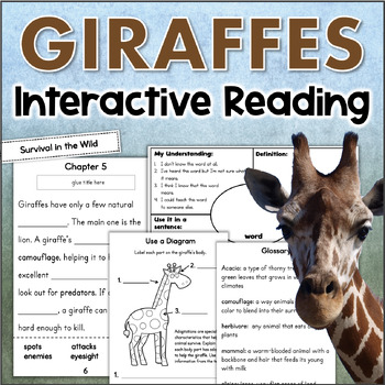 Miss Giraffe Free Printables : Miss Giraffe Themissgiraffe Profile Pinterest : Time to the hour, time to the half hour, mixed time to hour and half.
