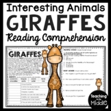 Giraffes Informational Text Reading Comprehension Workshee