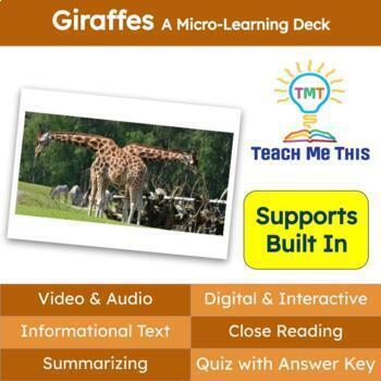Preview of Giraffes Informational Text Reading Passage and Activities
