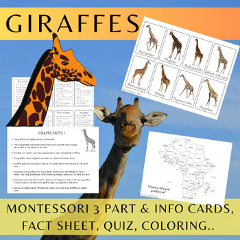 Preview of Giraffes/Montessori 3 Part Cards/Informational Text/Quiz/Coloring