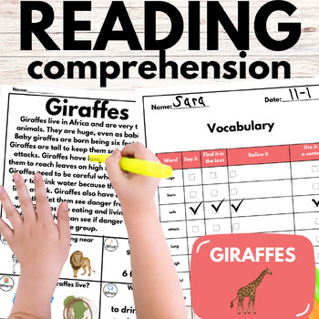Preview of Giraffes: Non-Fiction Reading Comprehension Passages & Questions + Vocabulary