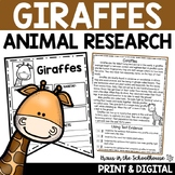 Giraffes Research Reading Writing | Animal Research Report