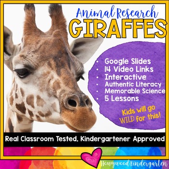 Preview of Giraffes ...  5 days of animal research mixed w/ literacy skills, videos, & FUN