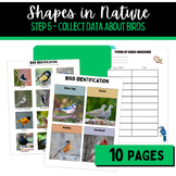 Girl Scout Brownie | Shapes in Nature Badge Step 5 | Bird 