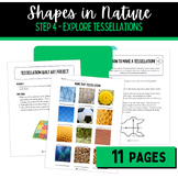 Girl Scout Brownies Shapes in Nature Badge | Step 4 Explor
