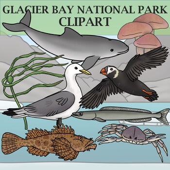 Preview of Glacier Bay National Park Clipart - Plants and Animals of the National Parks
